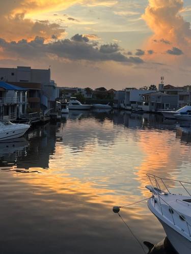 a group of boats docked in a harbor at sunset at Casa Bote Con Vista a Los Canales De Lecheria Con Muelle Privado in Las Garzas