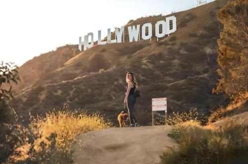 Hollywood Apartment Near Walk of Fame photo 32