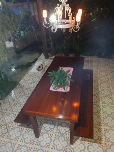 a wooden table with a plant on top of it at Casa com cachoeira no quintal in Paraty