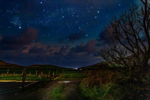 a starry night with a dirt road in a field at Tigin Dingle in Dingle