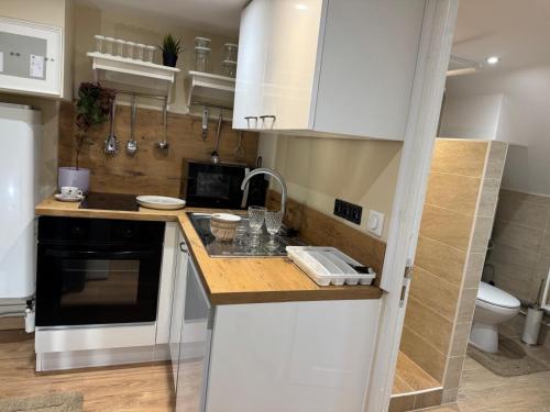 a small kitchen with white cabinets and a sink at Appartement F1 duplex rez de chaussée in Illkirch-Graffenstaden