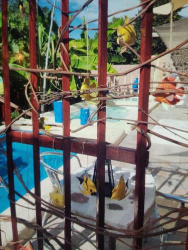 a group of birds sitting in a cage at EL SHADDAI Punta Del Este Desierto de la Tatacoa in Villavieja