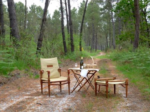 a group of chairs and a table in the woods at Oakwood Hideaway Stay in Sos