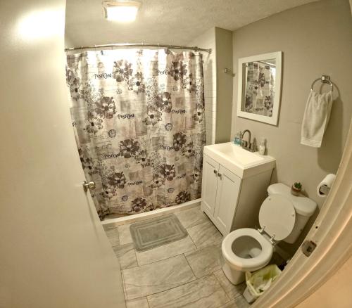 a bathroom with a toilet and a shower curtain at Private Room in an Elegant Home- Convenient to Downtown Indianapolis in Indianapolis
