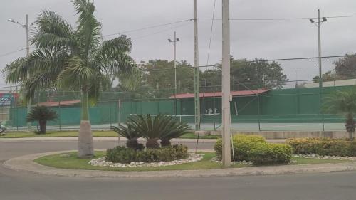 a street with two palm trees and a building at Relajate en Manta, habitacion y piscina in Manta