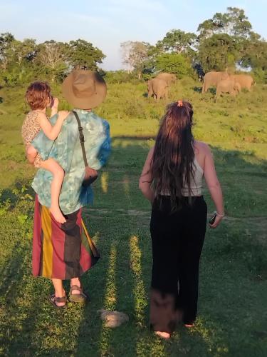 two women standing in a field looking at elephants at Ethili Lake view & Safari Camp in Wellawaya