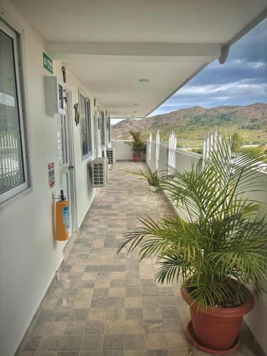 a hallway of a building with a potted plant at Posada ontimeview in Providencia