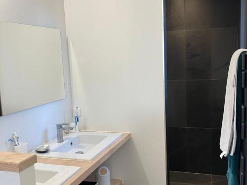 une salle de bain avec un lavabo et une douche dans l'établissement Maison indépendante à Pouldon, proche plage, 4 chambres, jardin - FR-1-418-262, à Locmaria