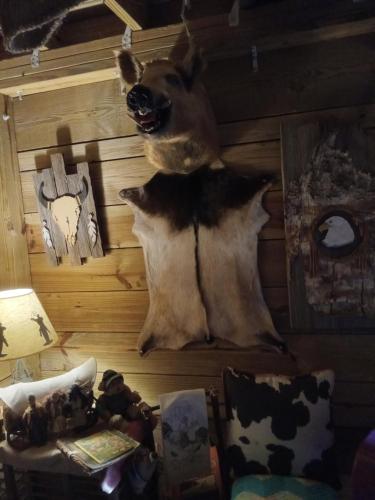 Billede fra billedgalleriet på Sky acres aka the tin cottage i Chiefland