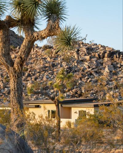 a house in front of a rocky hill with palm trees at Luxe Boulder Hideaway Mins to JTNP 2 Acres in Joshua Tree