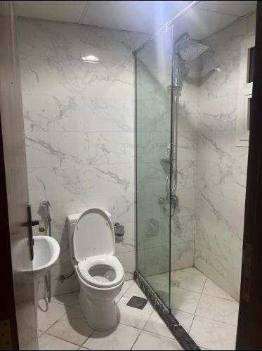 a bathroom with a shower and a toilet and a sink at Oasis tower family apartment 2302 in Ajman 
