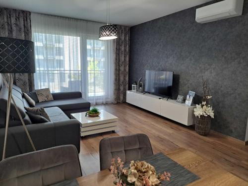 TV a/nebo společenská místnost v ubytování Tabáň Halifax apartment - city center & free parking