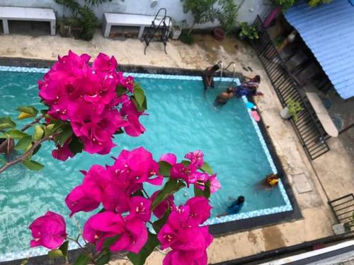 Bazén v ubytování Thisara Pool Hotel Kataragama & Yala-Kabiliththa Safari nebo v jeho okolí
