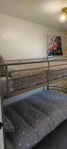 a bunk bed in a room with a painting on the wall at 198 Headwards Retreat in Hemsby