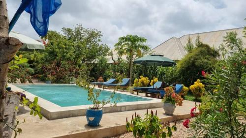 a swimming pool in a garden with chairs and an umbrella at Diana Place in Paje