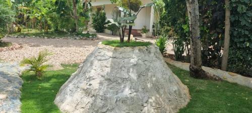 a large rock in the grass with a tree on it at Diana Place in Paje