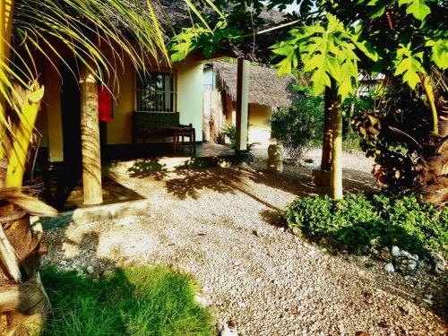 a courtyard of a house with a palm tree at Diana Place in Paje