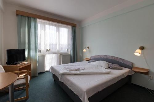 Voodi või voodid majutusasutuse Hotel Belvedere Příbram toas