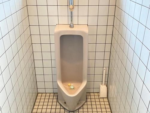 a bathroom stall with a urinal in a tiled wall at Guest House Aman in Amami