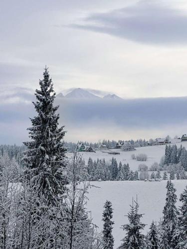 Wierchowa Polana Apartments