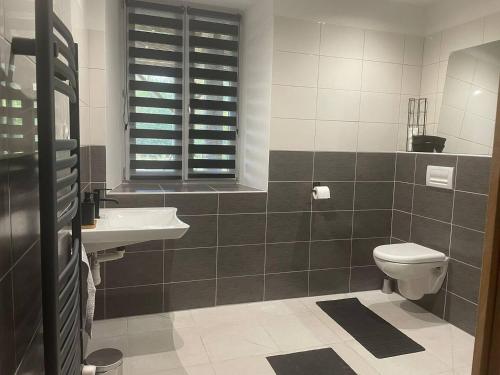 a bathroom with a toilet and a sink at Le Moulin de Vilaine in Châteauroux