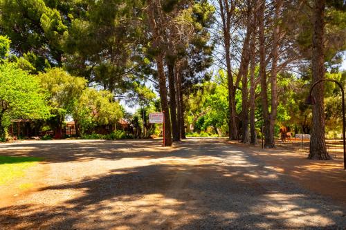 a tree lined road with a sign in the middle at A Cherry Lane Self Catering and B&B in Bloemfontein