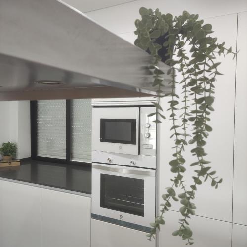 a kitchen with a microwave and a plant at Lima Zen Exclusive Apartment With View in Ponte de Lima