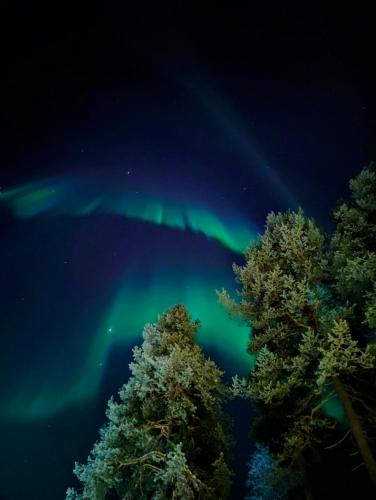 an image of the northern lights in the sky with trees at Isokelo Log Apartments in Salla