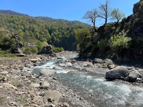 a river with rocks and trees on a mountain at Scandi House Premium in Çayqovuşan