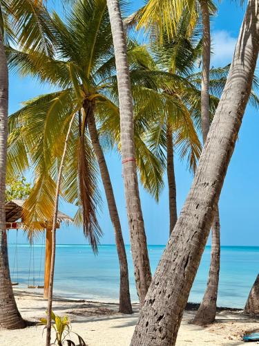 Ameera Maldives photo 2
