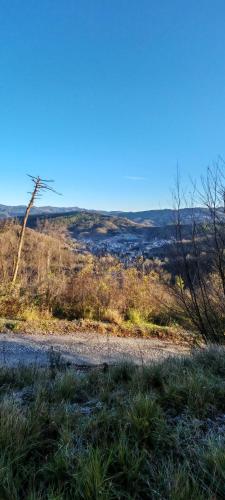 a dirt road in the middle of a field at A Casa Di Gaia in Riccò del Golfo di Spezia