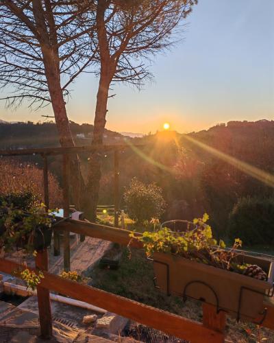 a view of the sunset from a garden at A Casa Di Gaia in Riccò del Golfo di Spezia