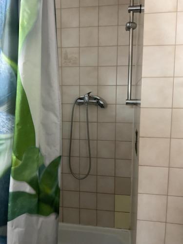 a shower with a shower head in a bathroom at Pension&Hostel Anna - Monteurzimmer -------- 10 minutes walk to Oktoberfest in Munich