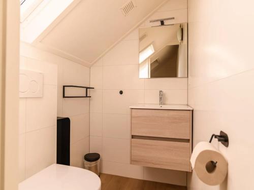 a bathroom with a toilet and a sink at Bungalow in Reevallis near Scenic Hills in Vijlen