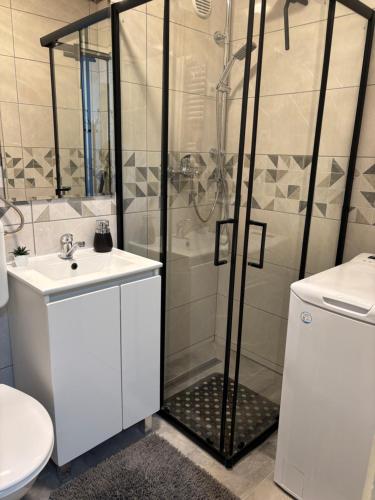 a bathroom with a shower with a sink and a toilet at Apartman Slavica self check in,private parking in Osijek