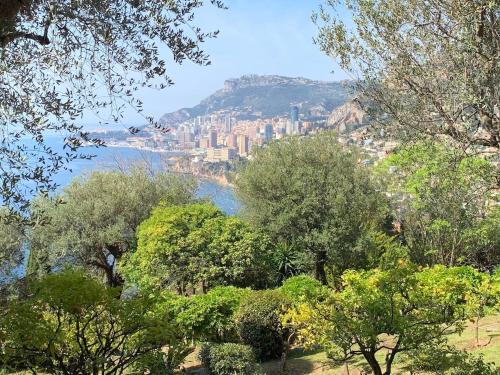 ロクブリュヌ・カップ・マルタンにあるFacing Monaco, Cosy flat with parc & swimmingの木陰からの市街の眺め