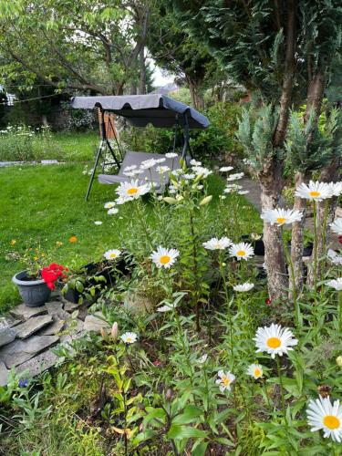 a garden with a chair and flowers in the grass at Relaxing, cozy 1 double room in Edinburgh