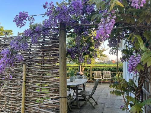 a pergola with a table and purple wisterias at Ashbourne Cottage in Ringwood