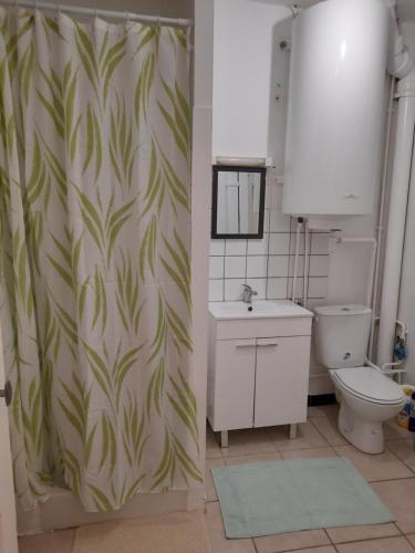 une salle de bain avec toilettes et rideau de douche dans l'établissement Aux portes de nancy , studio avec parking gratuit, à Frouard