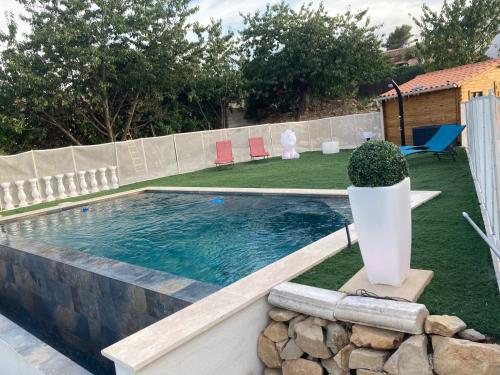 - une piscine dans une cour avec une plante en pot dans l'établissement Villa 13 personnes avec piscine à débordement, à Rocbaron