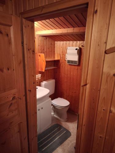 a small bathroom with a toilet and a sink at Bergner's Blockhütte in Twielenfleth