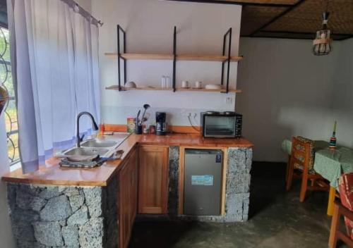 a kitchen with a counter with a sink and a microwave at Mutolere Coffee Pot Guest Houses in Kisoro