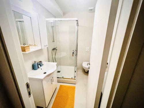 a bathroom with a shower and a sink and a toilet at Airport Gardens Loft in Otopeni