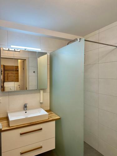 a bathroom with a sink and a mirror at Apartment Weingartenblick - Glanzerhof in Gamlitz