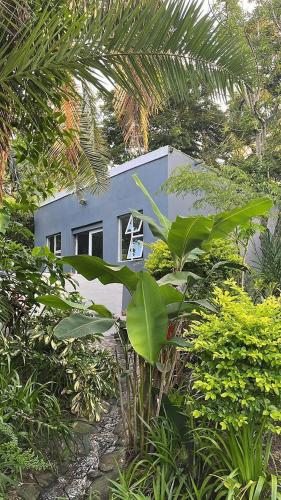 a blue house in the middle of a forest at Mngazana Hideaway in Port St Johns
