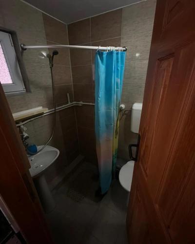 a bathroom with a shower curtain and a toilet at Apartmani Manojlović in Crni Vrh