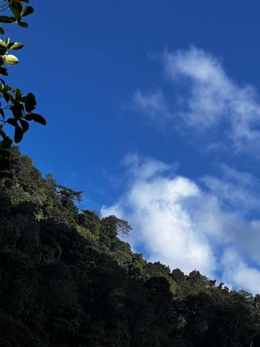 a blue sky with clouds above a forest of trees at The Cave in Yatiyantota
