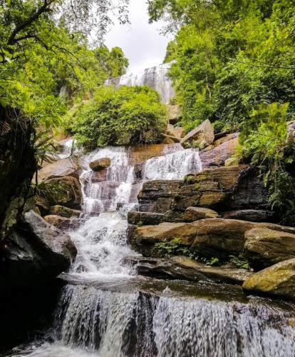 a waterfall in a forest with trees at The Cave in Yatiyantota