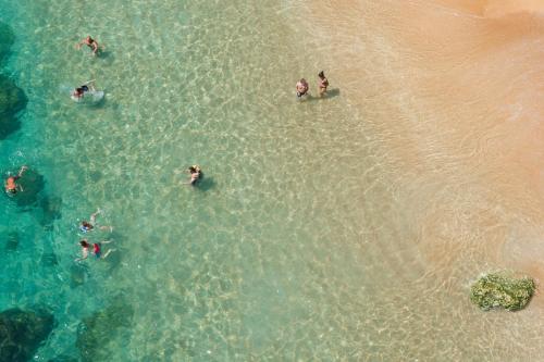 a group of people swimming in the water at the beach at Peralta Villas Boutique Adults Only in Renau