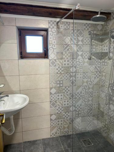 a bathroom with a sink and a glass shower at Pansion Sašin Salaš 40m2 in Rumenka